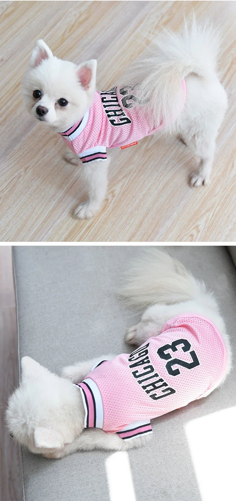 Dog Basketball Jersey 🐶🏀👕✨
