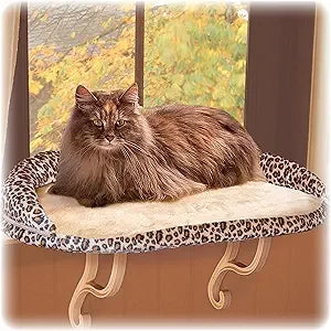 Cat Window Sill Perch Bed for Large Cats, Orthopedic Window Hammock Holds 40 lbs, Washable Cover,