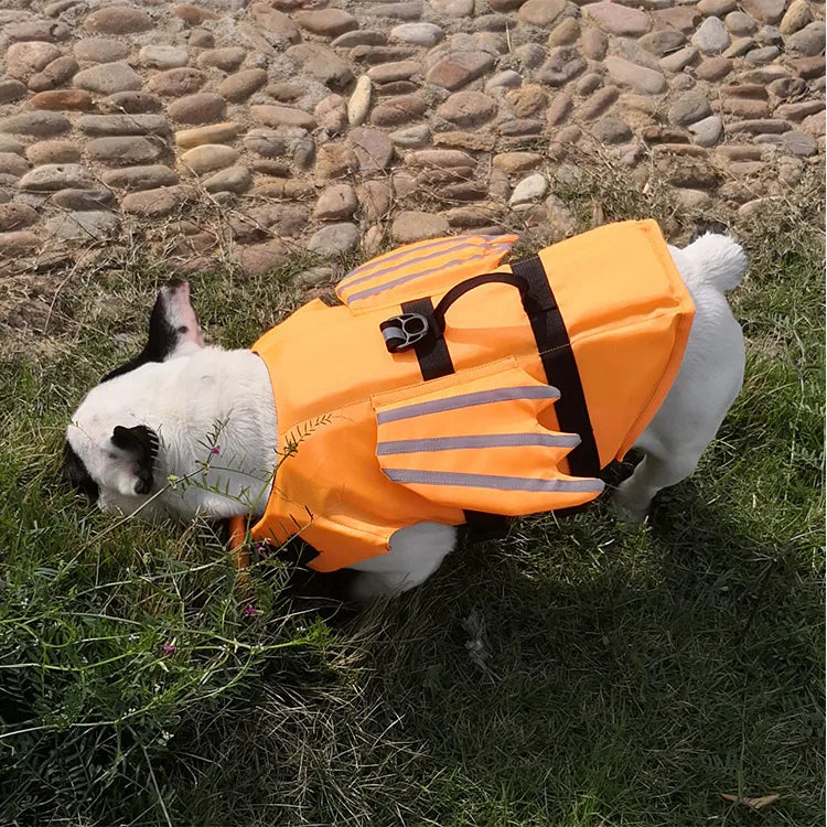 Dog Safety Life Jacket 🐶🦺🌊