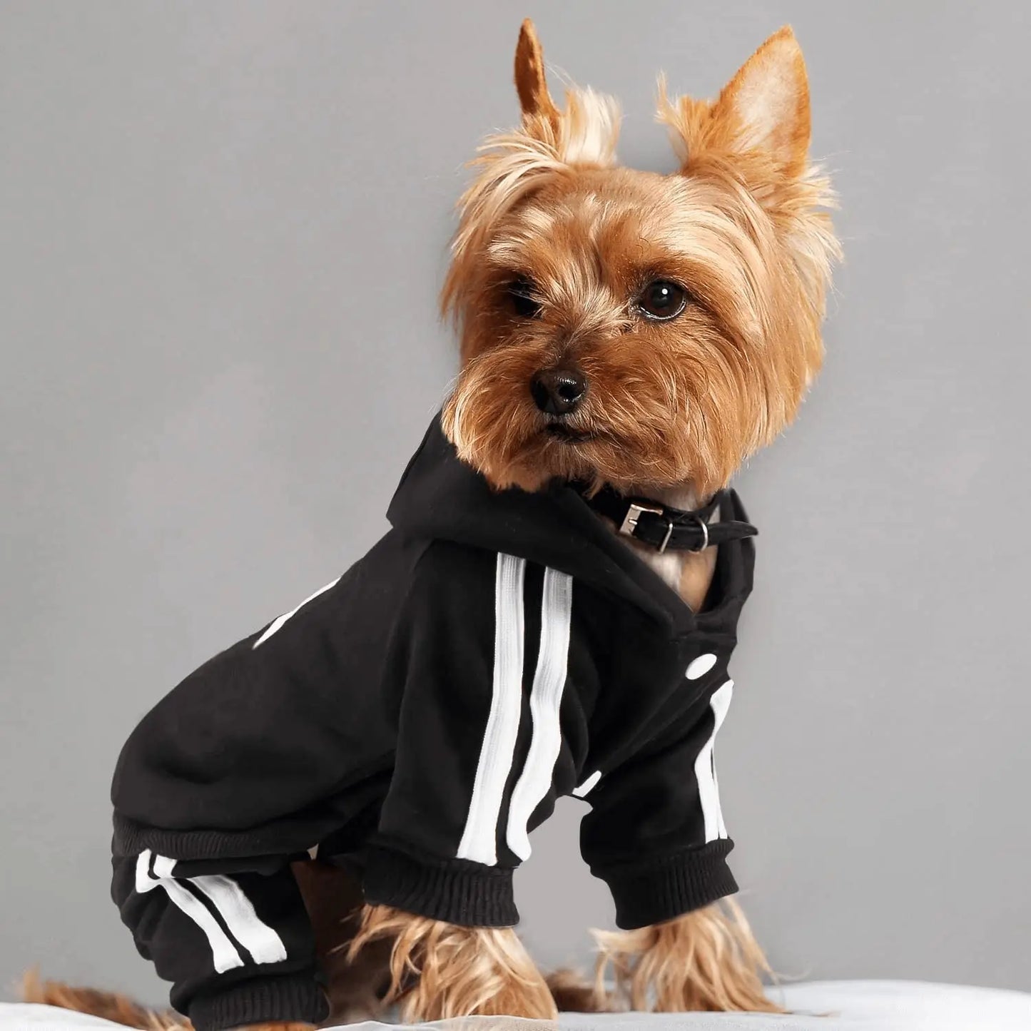 Adidog Dog Jumpsuit Sports Suit 🐶👕✨