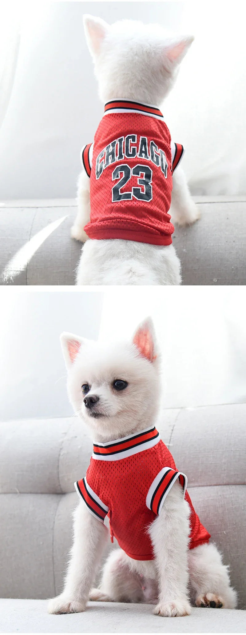 Dog Basketball Jersey 🐶🏀👕✨