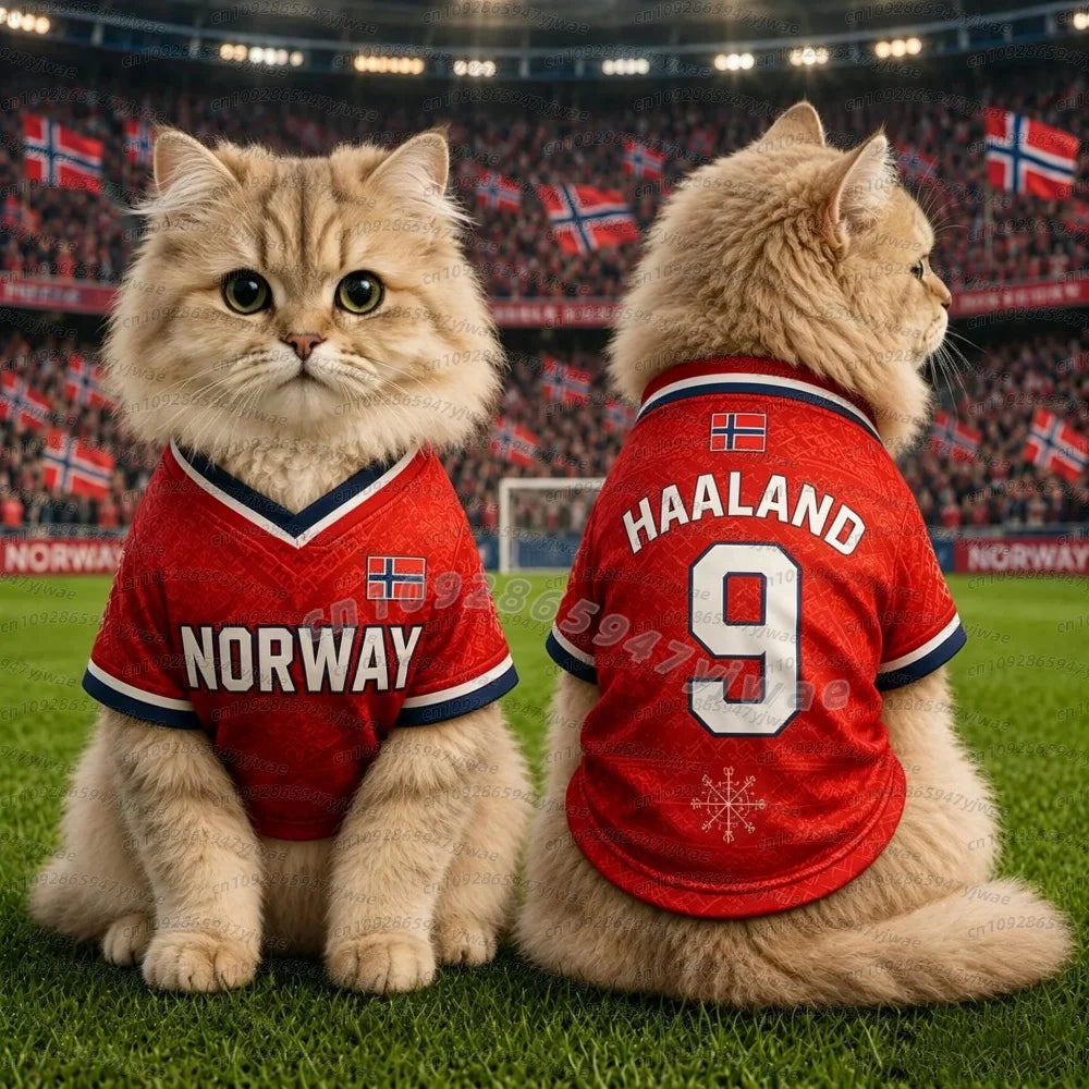 2026 cat dog soccer jerseyNorway Flag Printed Harland No. 9 Large Dog Jersey Basketball Clothing, Puppy T-Shirts, Pet Cat Shirts