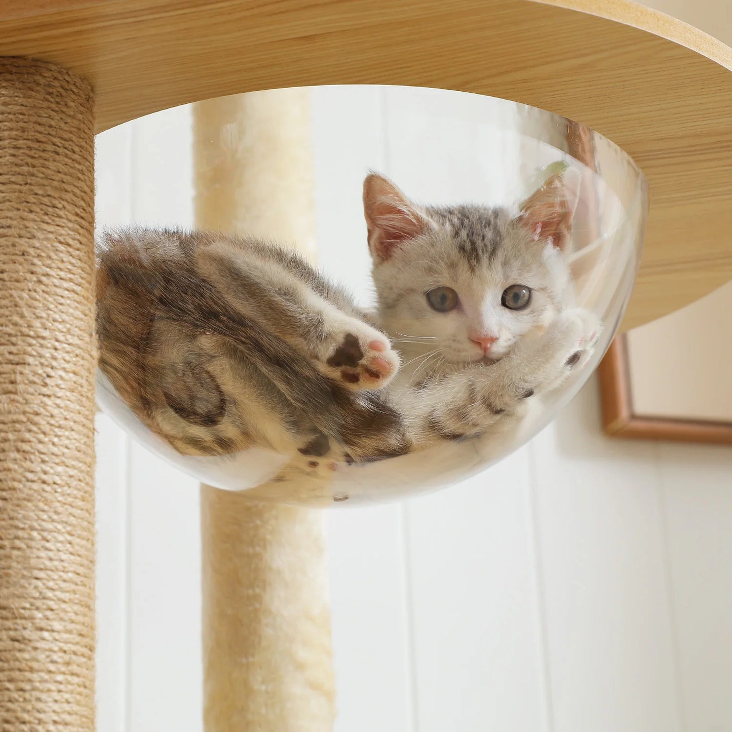 Multi-Level Cat Tree with Scratching Posts Spacious Condo Hammock Top Perch