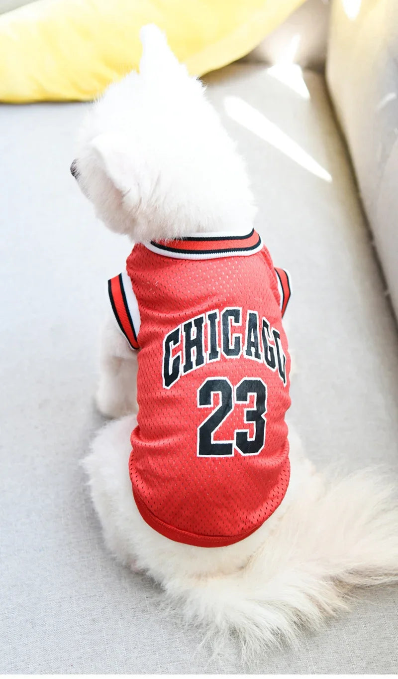 Dog Basketball Jersey 🐶🏀👕✨