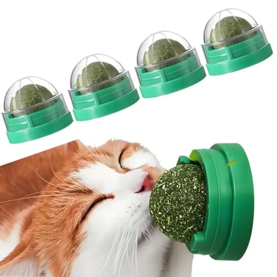 4PCS Catnip for Cats Wall Catnip Toys Teeth Cleaning Dental Edible Cat Toys