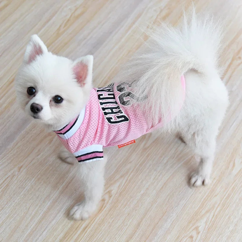 Dog Basketball Jersey 🐶🏀👕✨