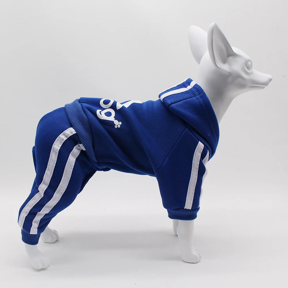 Adidog Dog Sports Jumpsuit 🐕👕✨