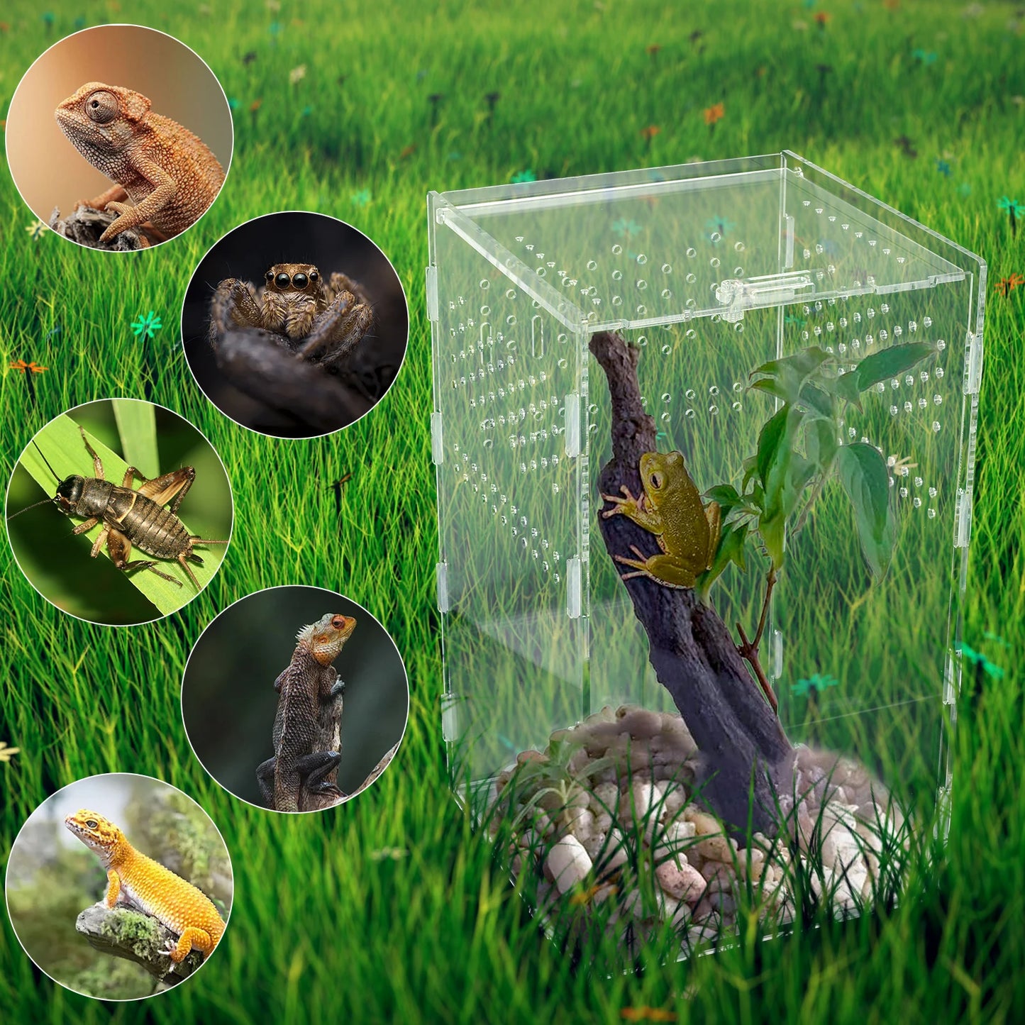 Reptiles Terrarium Enclosure Acrylic Reptile Habitat Terrarium Breeding Box Transparent Spider Scorpion Bearded Dragon Habitat