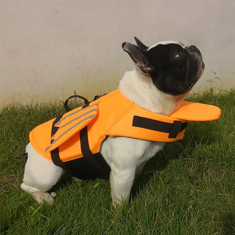 Dog Safety Life Jacket 🐶🦺🌊