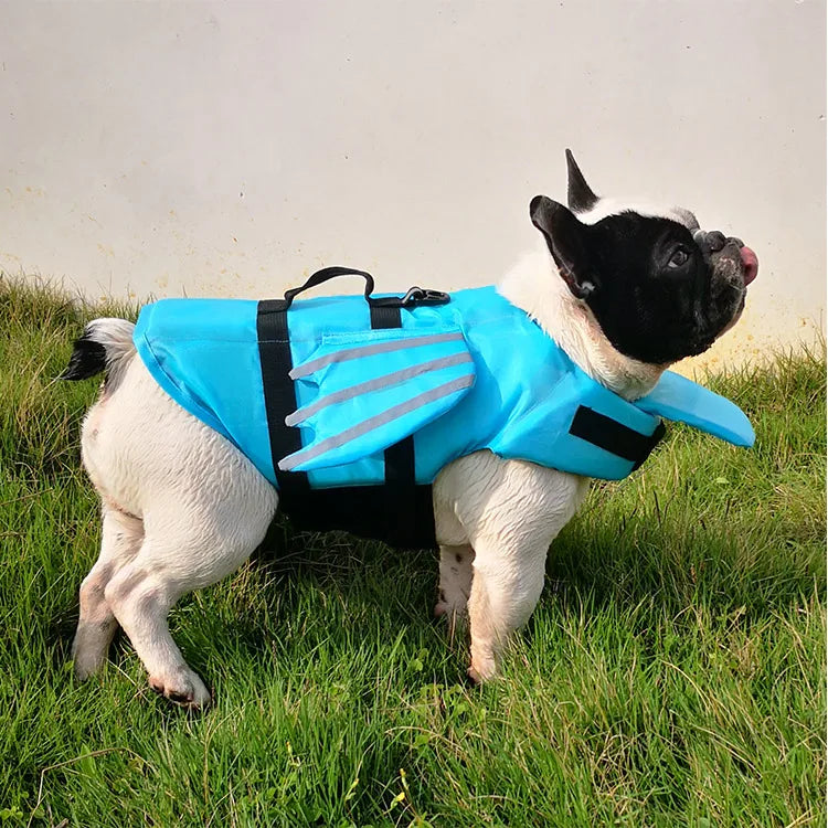 Dog Safety Life Jacket 🐶🦺🌊