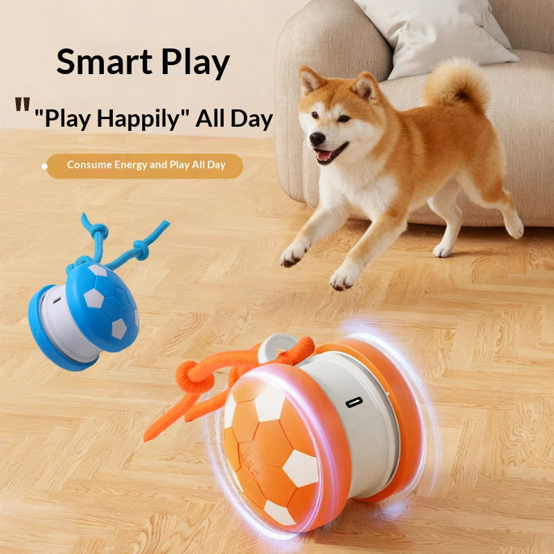 Pet Ball for Dogs Interactive Dog Toys Football Rolling Ball With Motion Activated Automatic Moving Puppy/Small Dogs Dog Toy