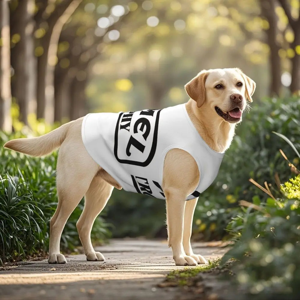 Personalized Camel Trophy Dogs Clothes Breathable Soft Pet Vests Large Dog Jacket Pet Accessories
