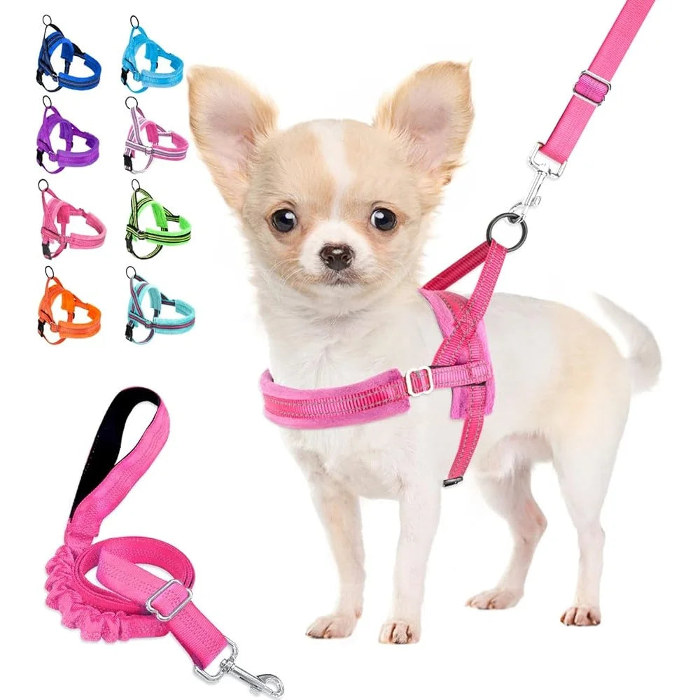 Soft Padded Dog Harness Leash Set Adjustable Reflective Vest Small Dogs Quick Fit Neck Chest Safe Walking 4ft Leash
