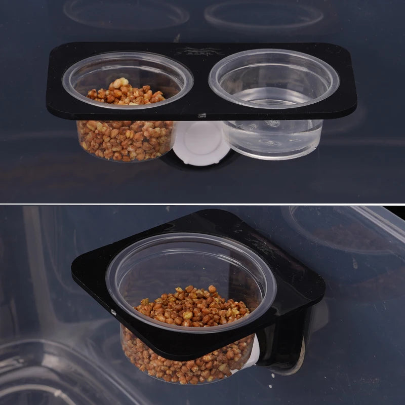 Reptiles & Amphibians Lizard Gecko Suction Cup Feed Bowls Food Container with Bowl for Reptile Food and Water Feeding