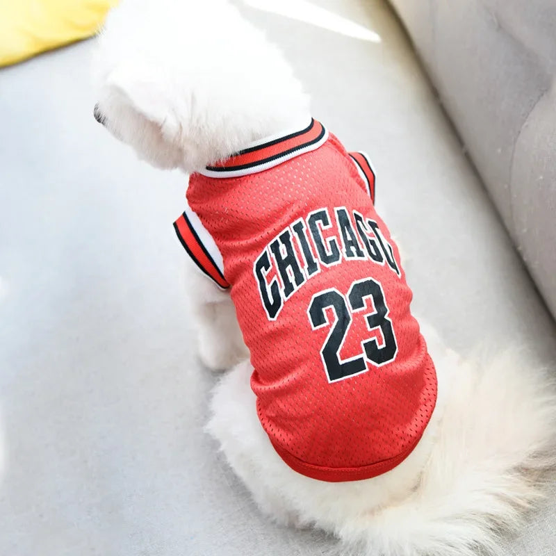 Dog Basketball Jersey 🐶🏀👕✨