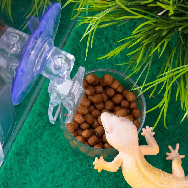 【E】Reptile Water Food Bowl Suction Cup Food Tray Gecko Reptile Lizards Spider Tree Frogs Feeder Habitat Decoration Pet Supplies