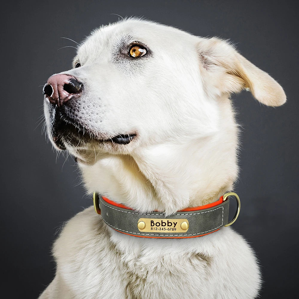 Personalized PU Leather Padded Dog Collar Customized ID Nameplate Pet Collar For Small Medium Dogs Durable Necklaces Accessories