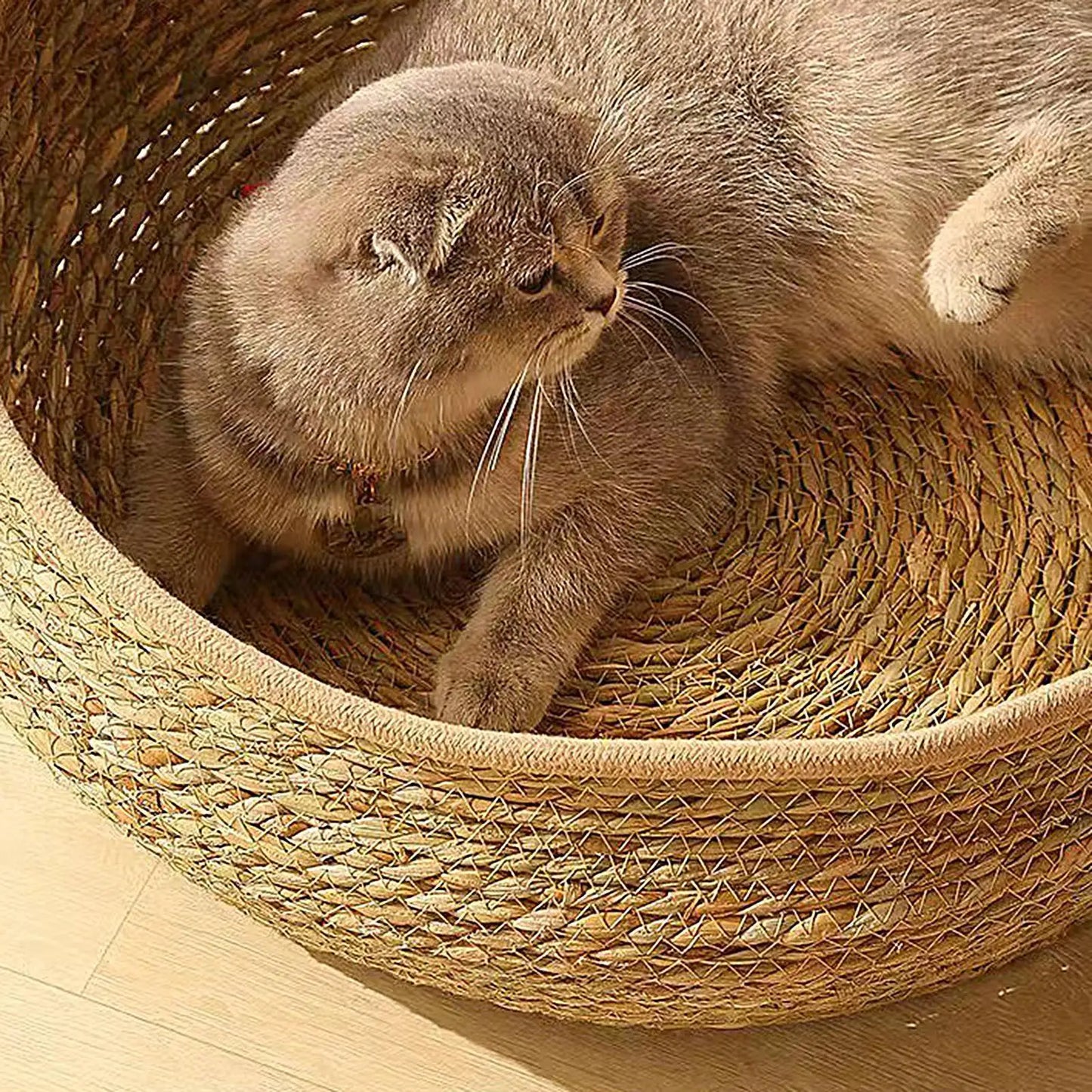 Cat Bed Cotton Rope Woven Cat Bed with Pillow and Cushion All Season Indoor Weaving Pet Resting Scratching Sleeping Furniture