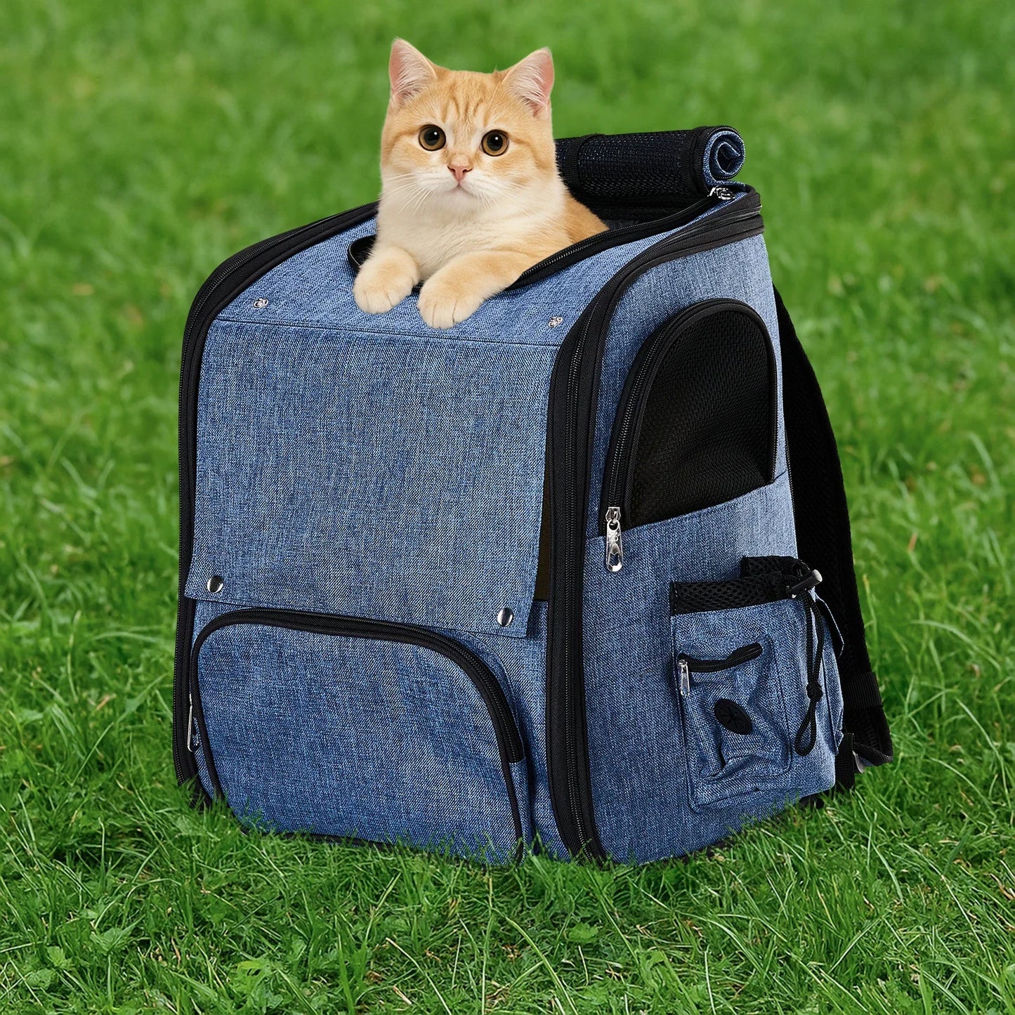 pet bag is portable and breathable when going out. The pet goes out with a backpack and a large-capacity expandable