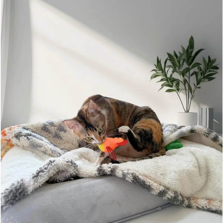 Catnip Cat Toy 2 Pack Chicken Bird Interactive Chew Kicker Toys