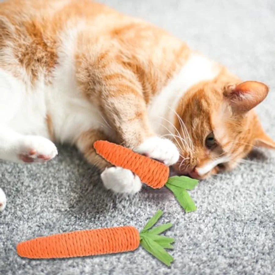 2PCS Cat Chew Toys 1 Small1 Large Carrot Shapes Cat Rope Toys with Sounding Parcels Interactive Cat Toys for Indoor Cats and Ki