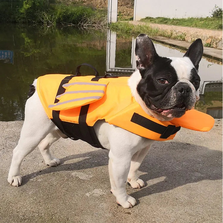 Dog Safety Life Jacket 🐶🦺🌊