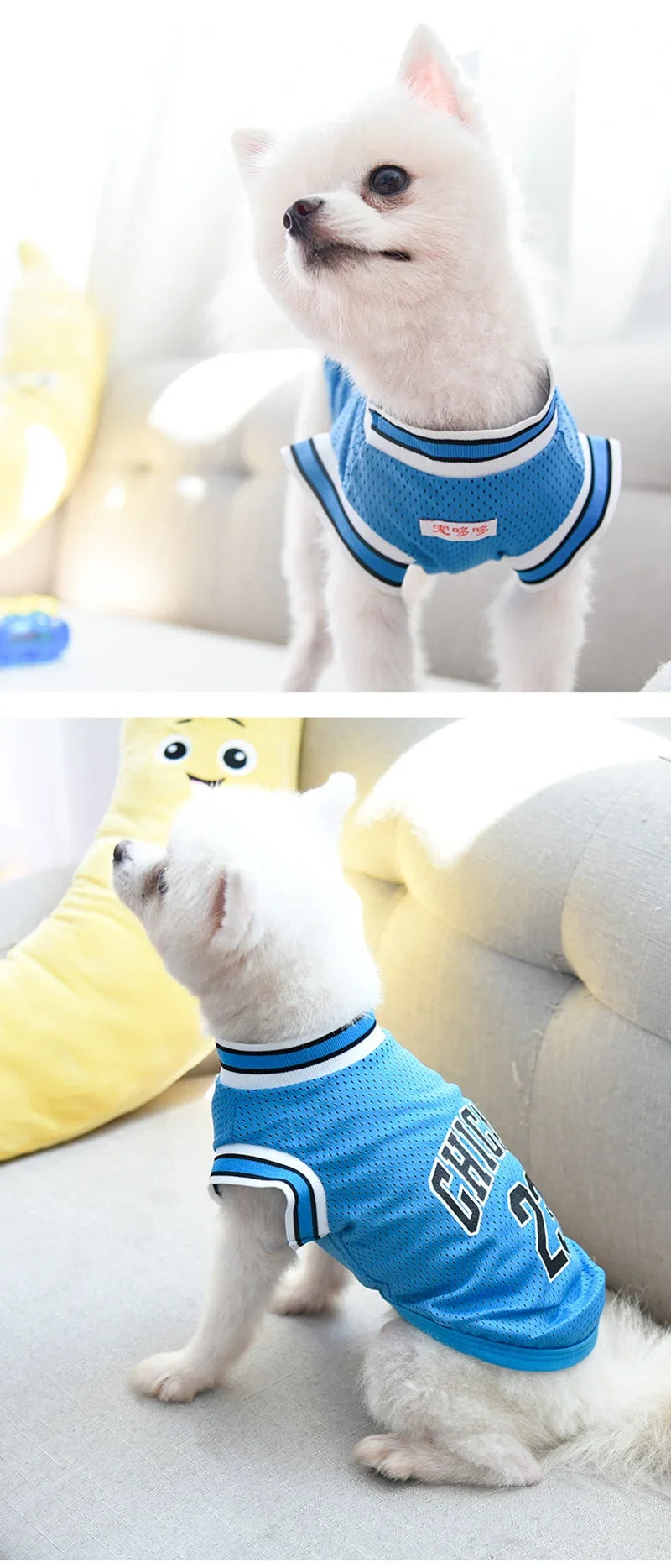 Dog Basketball Jersey 🐶🏀👕✨