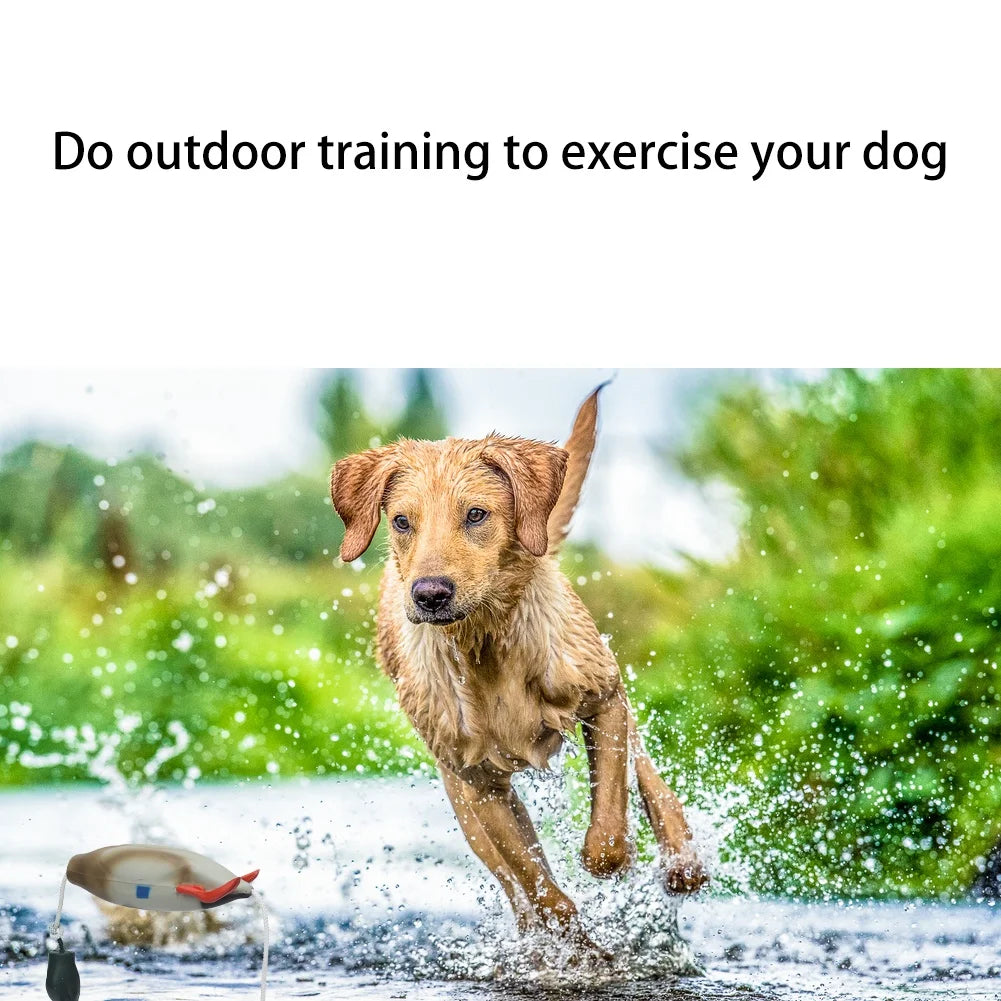 Duck Bumper Toy for Hunting Dogs, Mallard Bird Dummy for Waterfowl Retrieval Training