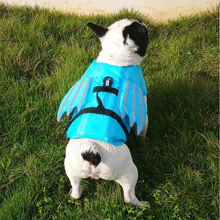 Dog Safety Life Jacket 🐶🦺🌊