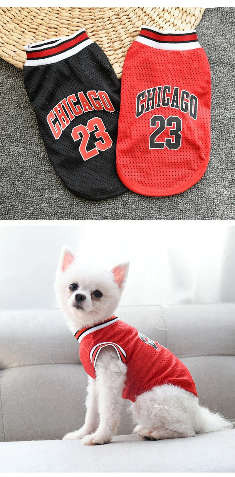 Dog Basketball Jersey 🐶🏀👕✨