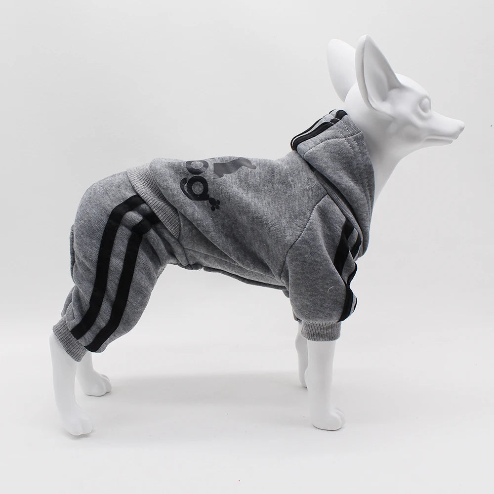 Adidog Dog Jumpsuit Sports Suit 🐶👕✨