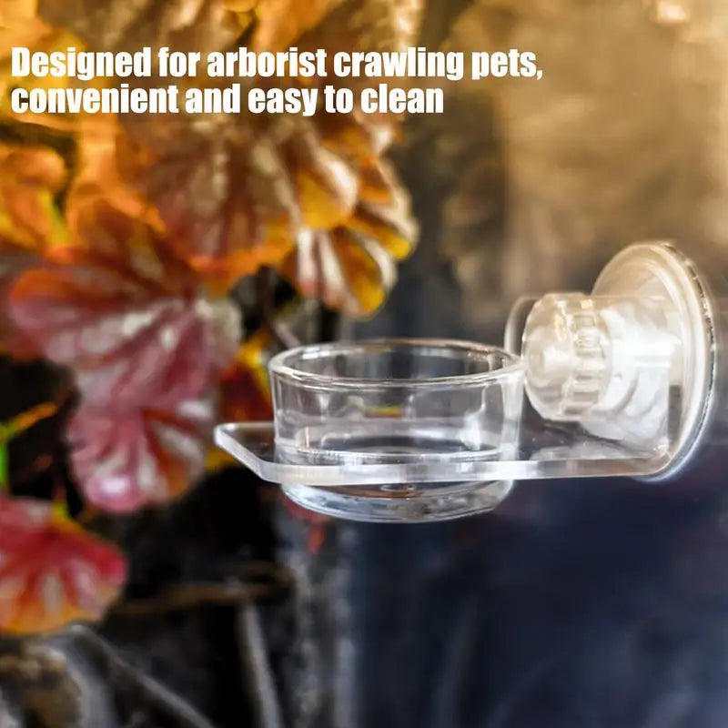 Magnetic Reptile Feeding Ledge Suction Cup Food Tray Gecko Reptile Feeding Station for Lizards Chameleons Tree Frog Pet supplies