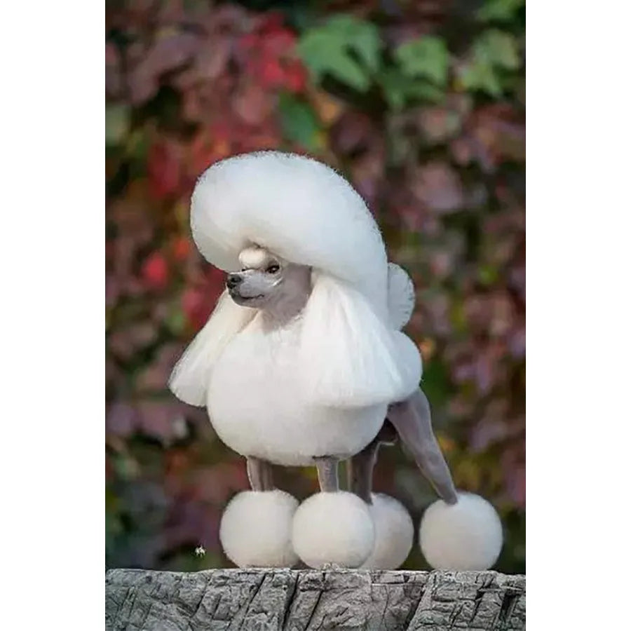 Dog Grooming ScissorsPet Grooming Scissors Curved Down Shears great for Groomers and Home Grooming