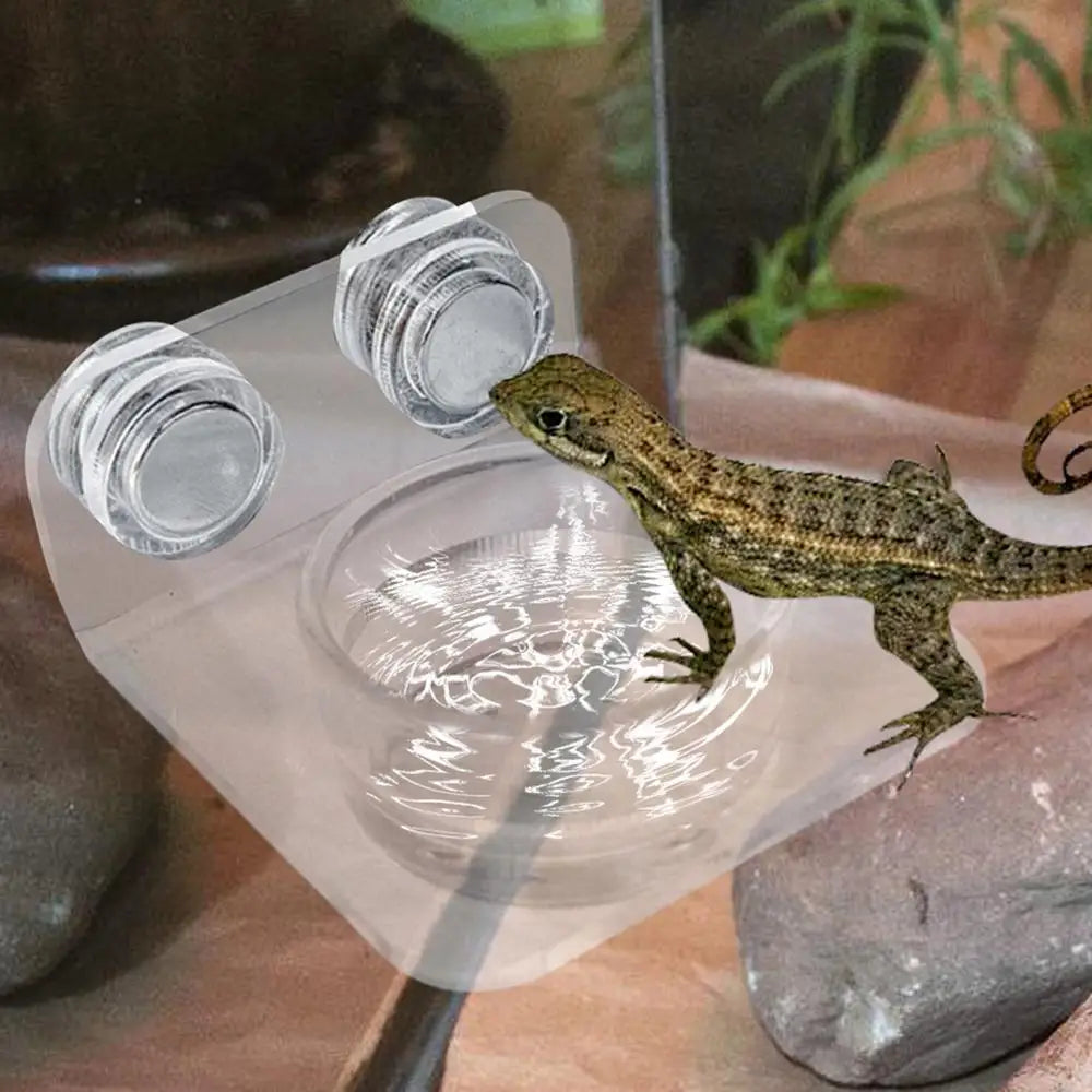 Magnetic Reptile Feeding Ledge Suction Cup Food Tray Gecko Reptile Feeding Station for Lizards Chameleons Tree Frog Pet supplies