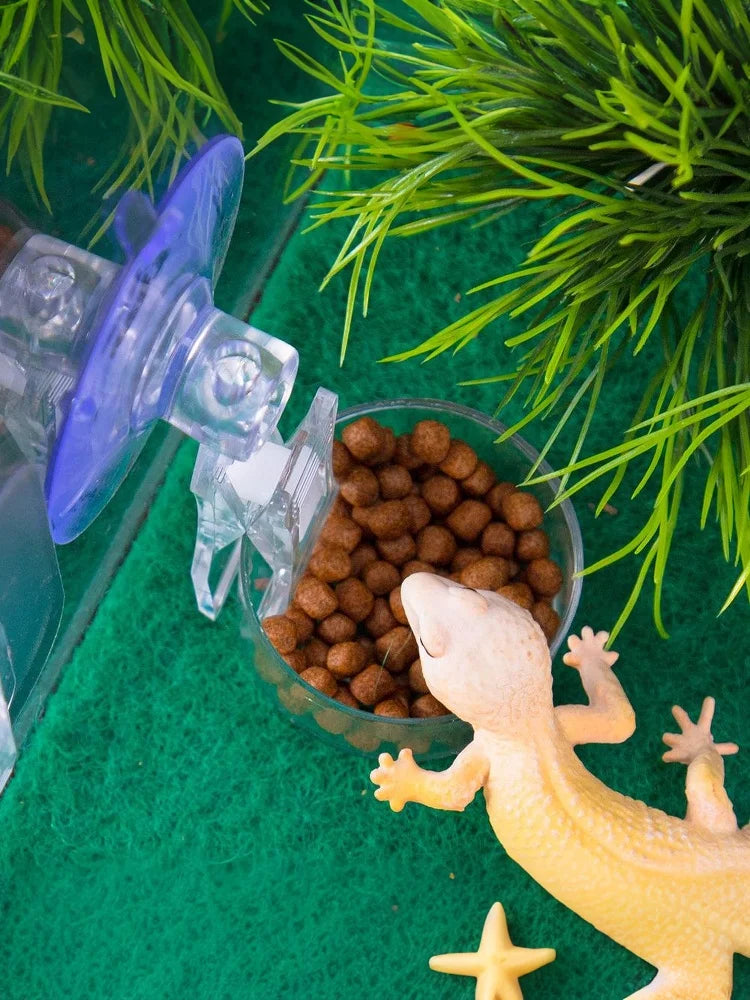 【E】Reptile Water Food Bowl Suction Cup Food Tray Gecko Reptile Lizards Spider Tree Frogs Feeder Habitat Decoration Pet Supplies