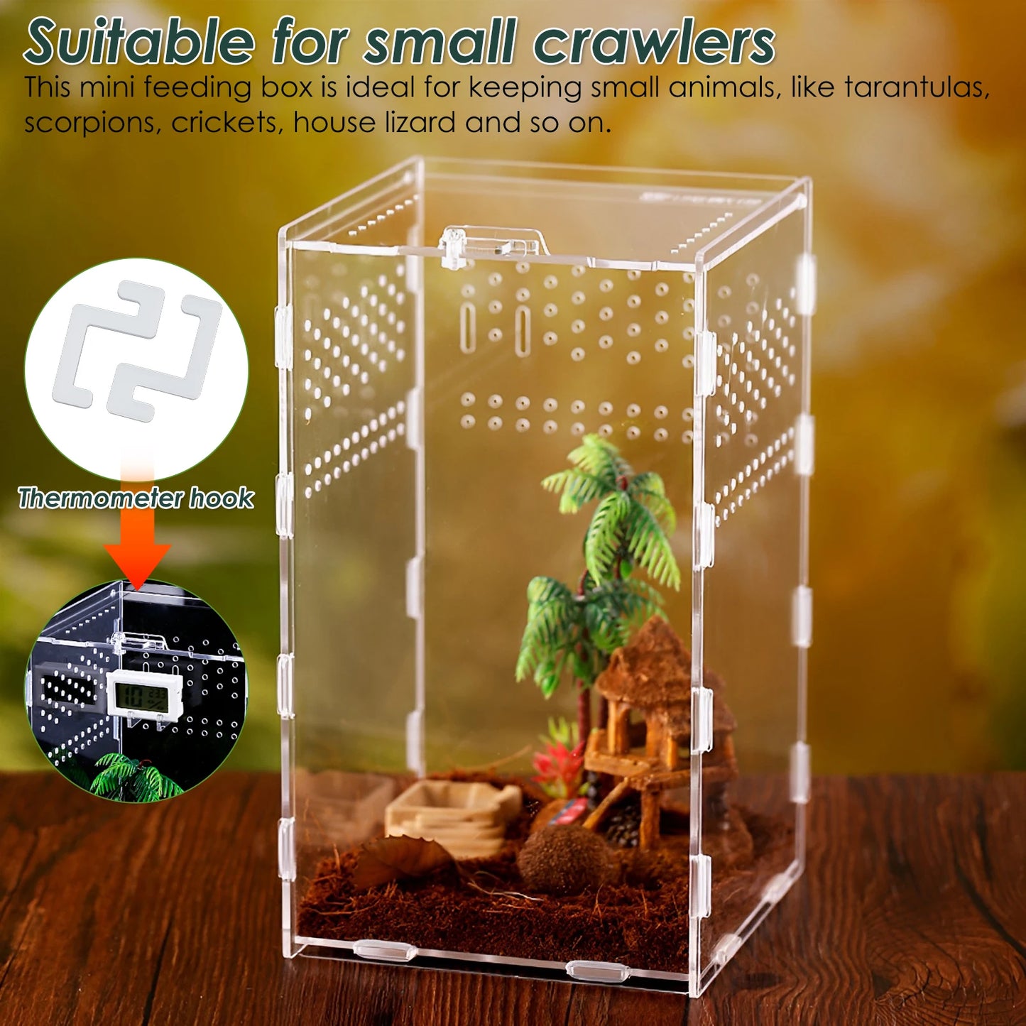 Reptiles Terrarium Enclosure Acrylic Reptile Habitat Terrarium Breeding Box Transparent Spider Scorpion Bearded Dragon Habitat