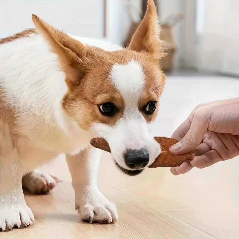 Beef Jerky/Duck Jerky/Chicken Sweet Potato Sticks/Turkey Meatballs/Dried Salmon/Training Reward Chew for Small Medium Large Dog