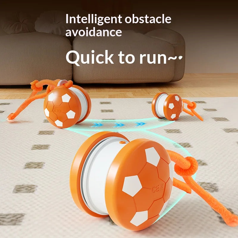 Pet Ball for Dogs Interactive Dog Toys Football Rolling Ball With Motion Activated Automatic Moving Puppy/Small Dogs Dog Toy