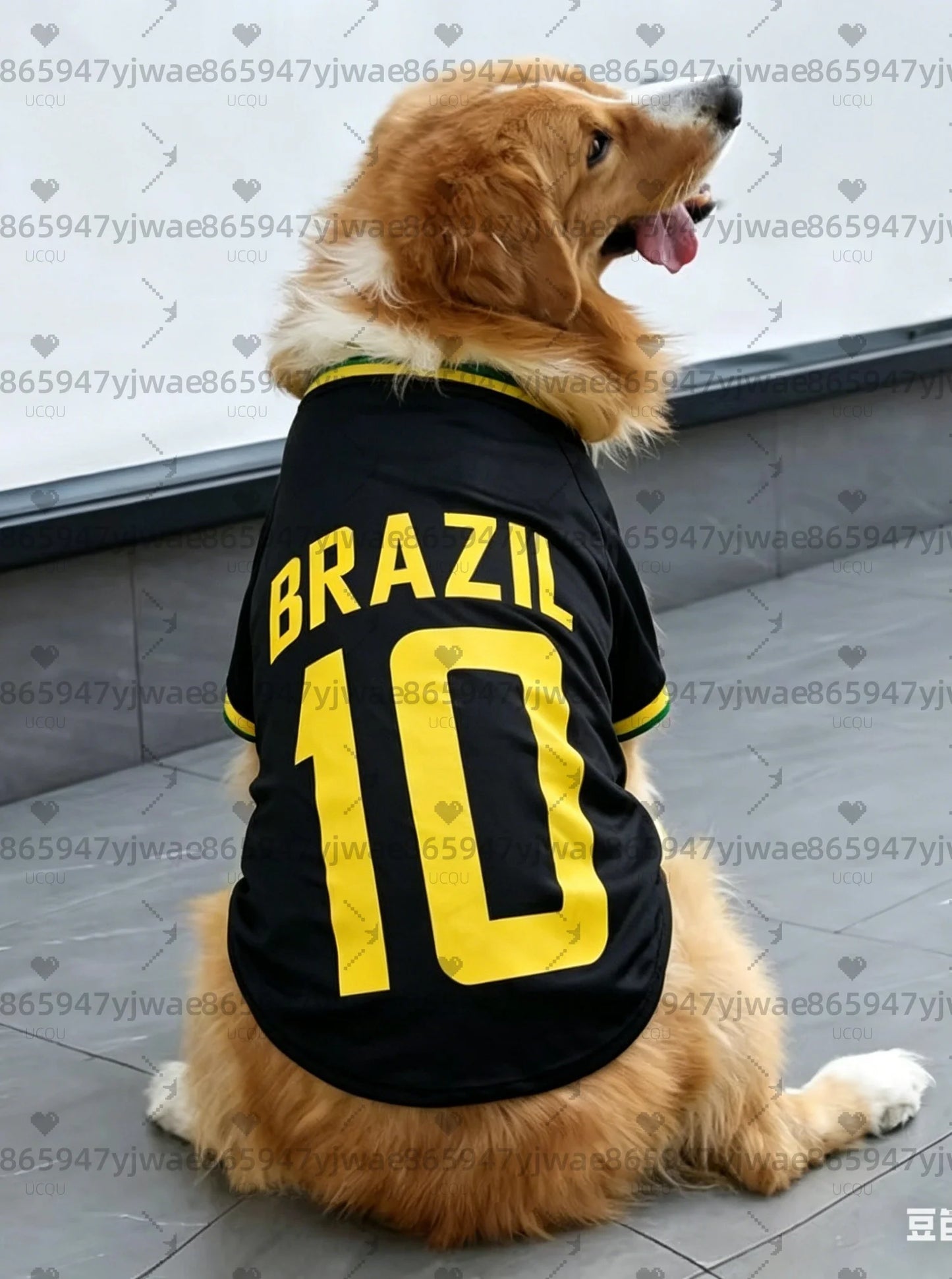 BRASIL NO.10 Pet Football Jersey ⚽🐶👕