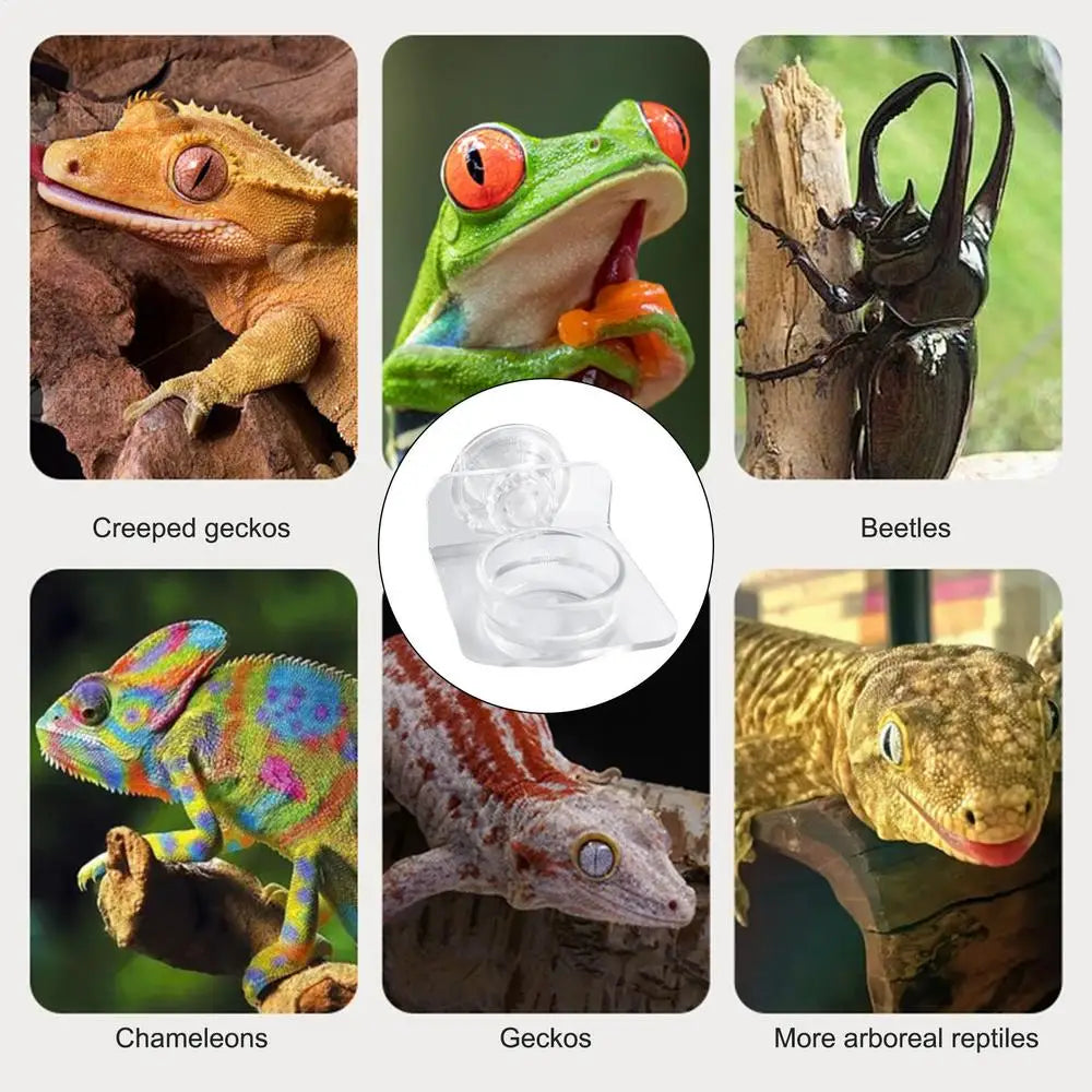 Magnetic Reptile Feeding Ledge Suction Cup Food Tray Gecko Reptile Feeding Station for Lizards Chameleons Tree Frog Pet supplies