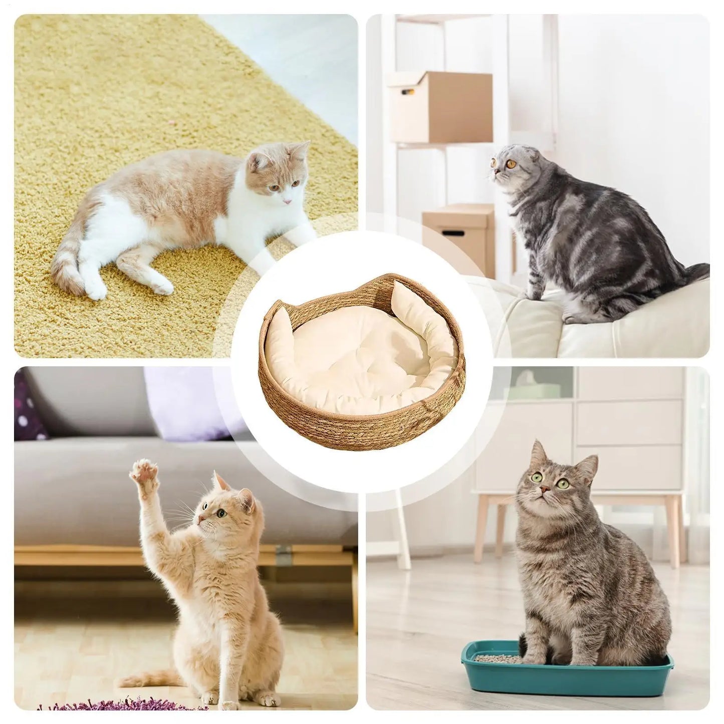 Cat Bed Cotton Rope Woven Cat Bed with Pillow and Cushion All Season Indoor Weaving Pet Resting Scratching Sleeping Furniture