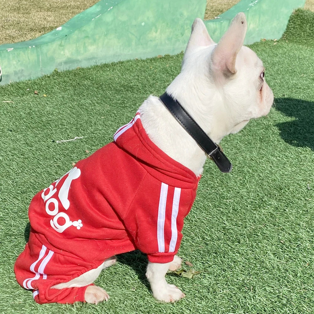 Adidog Dog Sports Jumpsuit 🐕👕✨