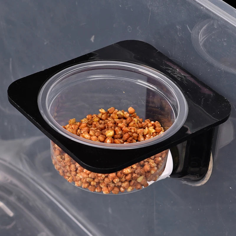 Reptiles & Amphibians Lizard Gecko Suction Cup Feed Bowls Food Container with Bowl for Reptile Food and Water Feeding