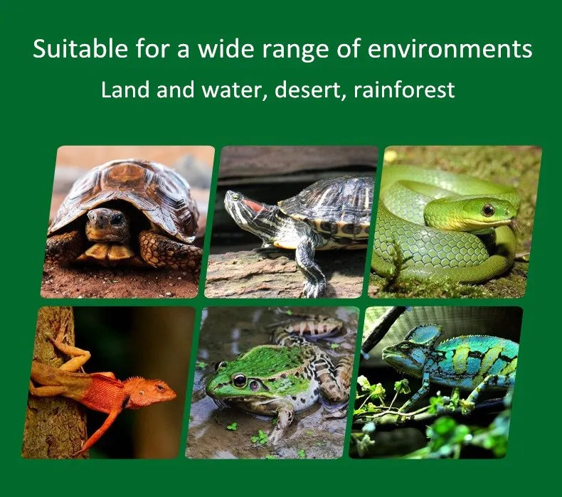 Reptile Terrarium  Rainforest  Reptile Tank Breeding Cage  for Reptile Terrarium Accessories