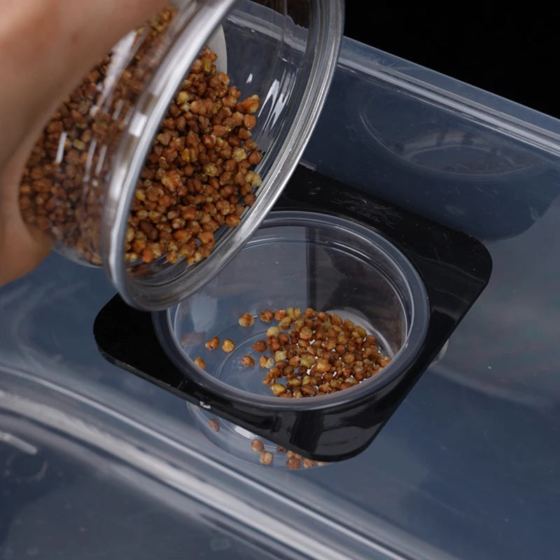 Reptiles & Amphibians Lizard Gecko Suction Cup Feed Bowls Food Container with Bowl for Reptile Food and Water Feeding