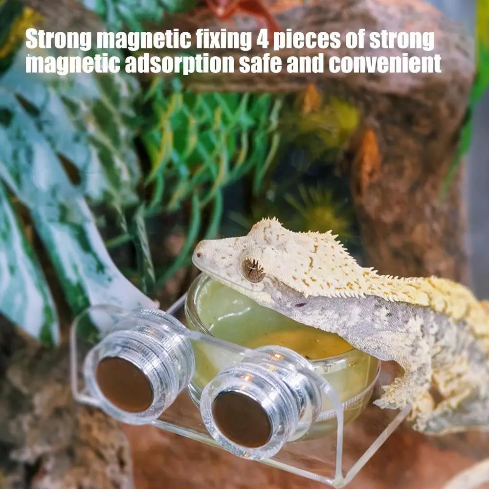 Magnetic Reptile Feeding Ledge Suction Cup Food Tray Gecko Reptile Feeding Station for Lizards Chameleons Tree Frog Pet supplies