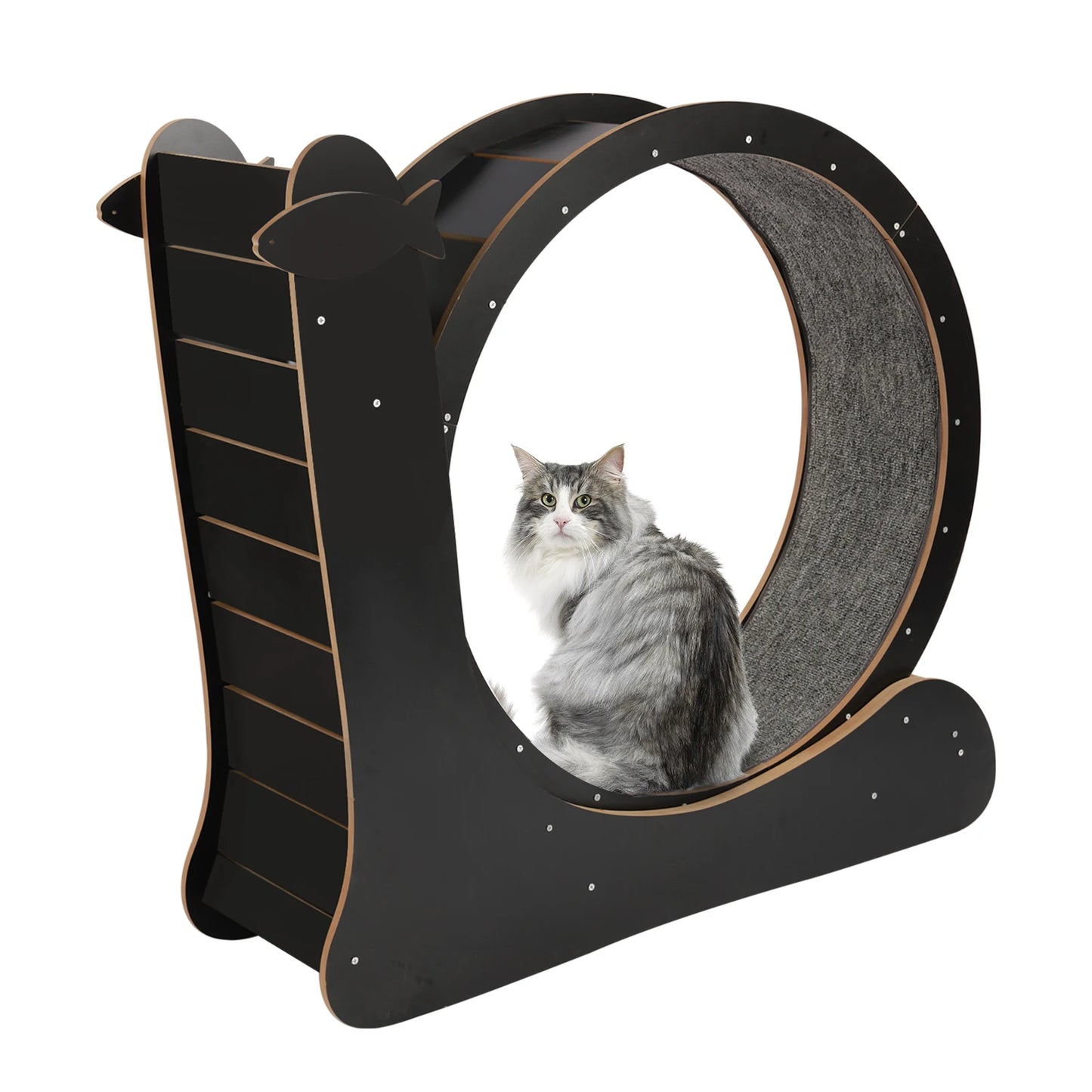 Cat Exercise Wheel, Large Cat Treadmill With Carpet Runway For Indoor Cats