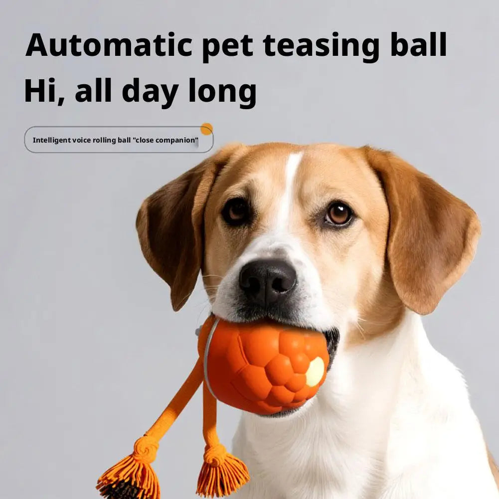 Interactive Dog Toys Smart Rolling Ball With Rope Motion Activated Automatic Moving Squeaky Dog Training Puppy Chew Toy Balls