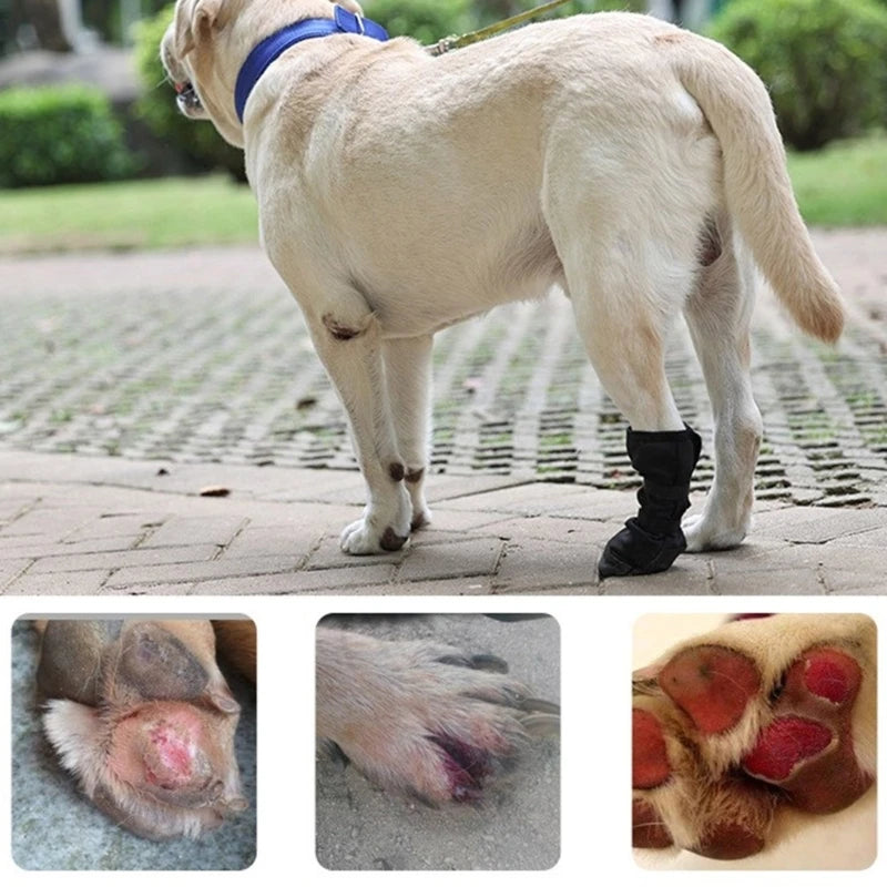 Dog Wound Recovery Boot for Post Surgical Recovery