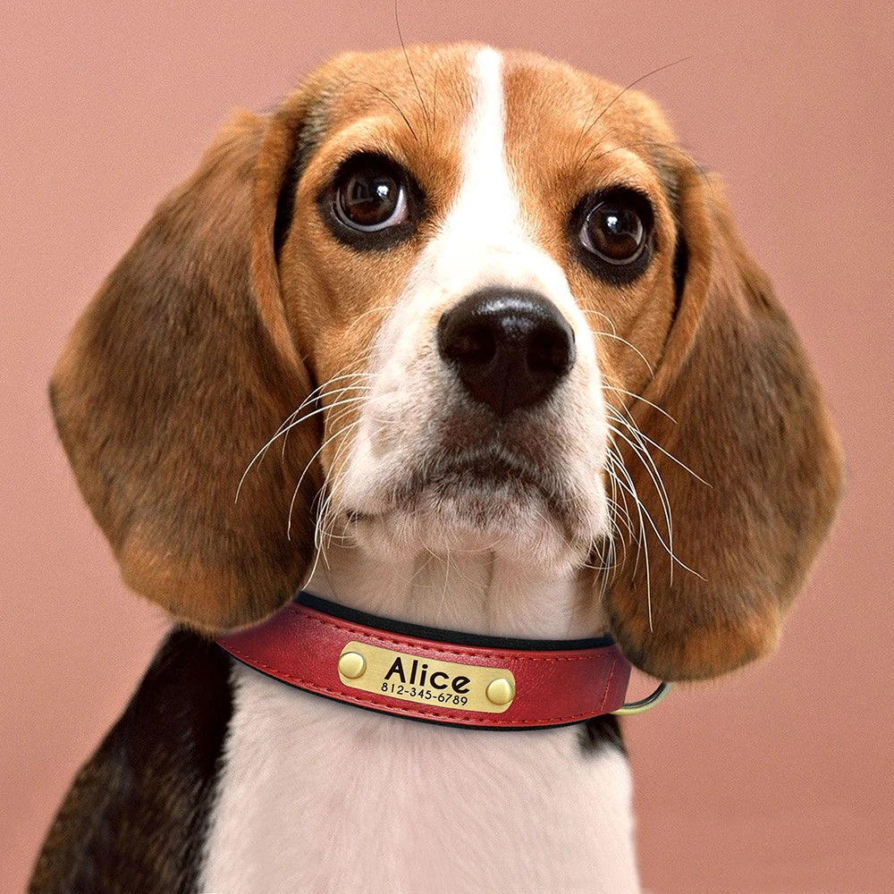Personalized PU Leather Padded Dog Collar Customized ID Nameplate Pet Collar For Small Medium Dogs Durable Necklaces Accessories